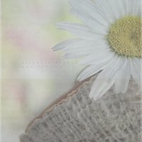 masteri_xxx (@taub_b) 's Twitter Profile Photo