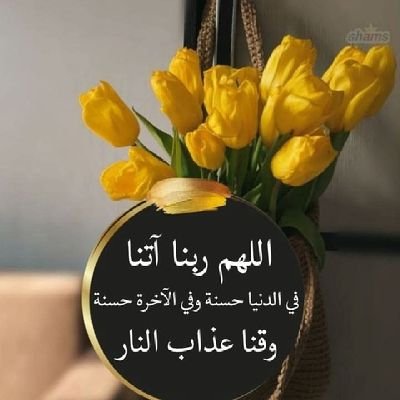 QrCjV0l29w99007's profile picture. 