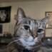 stigg (@stiggwiggy) Twitter profile photo stigg (@stiggwiggy) Twitter profile photo