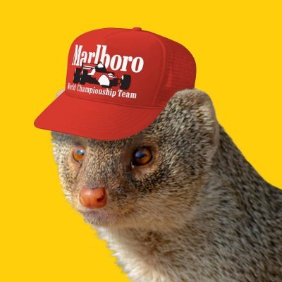 lefts Profile