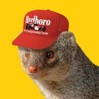 lefts (@bomblefts) 's Twitter Profile Photo lefts (@bomblefts) 's Twitter Profile Photo