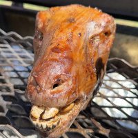 A Dog of war (@uraid10t69) 's Twitter Profile Photo