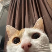 Matias (@mttias333) 's Twitter Profile