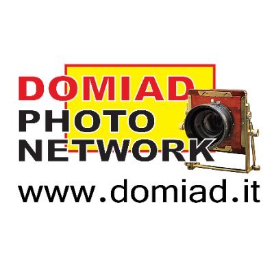 domiadphotonetw's profile picture. CEO Founder Fotografia 3.0