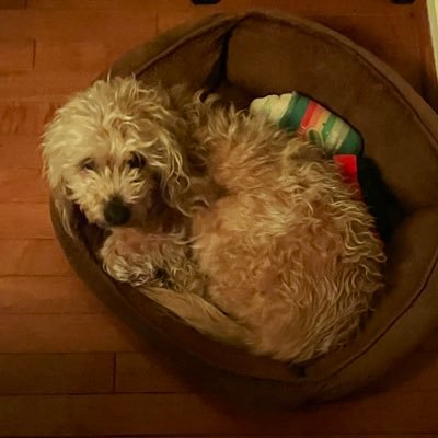 S41N7W4SH's profile picture. 