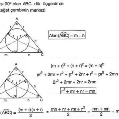 matematisyen, 11. sınıf ama odtü matematik, su gurmesi #mathemabilgidemektir