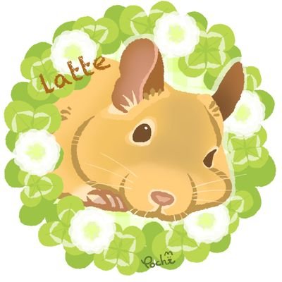 muutan555's profile picture. うさぎのネム(🏠️2020.5)
デグーのラテ(🏠️2023.4)
と一緒に暮らしています。
主に情報収集のため利用しているのでポストは控えめです。