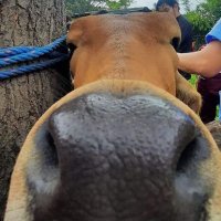 wedgielovemt (@wedgiemed2) 's Twitter Profile