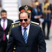 shark shark (@ashrafaboshata) 's Twitter Profile