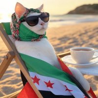 shorty 🇸🇾 (@ay0sphere) 's Twitter Profile