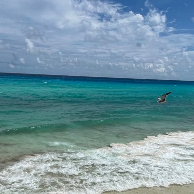 petronila1995's profile picture. Hay derrotas que tienen más dignidad que una victoria🌈