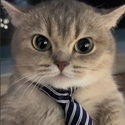 cs2 enjoyer
https://t.co/cXM8SaZw8k
https://t.co/LwaIxrt2xq
https://t.co/lbtBNQE9GX