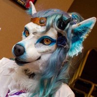 Nash Merwolf 🐠 (@nashmerwolf) 's Twitter Profile