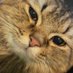 bel (@cloudyschoco) Twitter profile photo bel (@cloudyschoco) Twitter profile photo