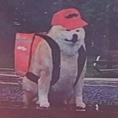 VavanStalker's profile picture. 