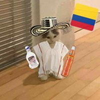 EGY NEXXTT (@nexxtt02) 's Twitter Profile