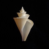 ゆめなみ (YumeNami) (@gingangc224) Twitter profile photo