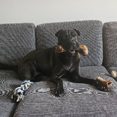 sergiolopezV's profile picture. Economista.
Liberal.
programador.
Amante de libre mercado