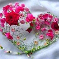 عبير 🇸🇦🇸🇦 (@smh310746047805) 's Twitter Profile