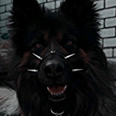 rjustritz's profile picture. — 22 yrs old 𐂯 minors & ageless DNI 𐂯 @nv113d's & @carionbones's owner —