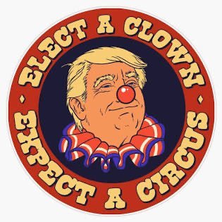 Phyllis_Tweets's profile picture. VOTE Call 2022253121 Write March Donate Register2VOTE Call Your Reps, DonOld is an agent of Chaos, It’s about the money