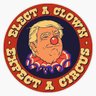 Phyllis_Tweets's profile picture. VOTE Call 2022253121 Write March Donate Register2VOTE Call Your Reps, DonOld is an agent of Chaos, It’s about the money