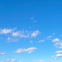 misaki (@mi___oshi) Twitter profile photo