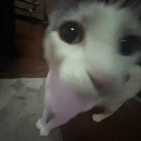 marzᶻ 𝗓 𐰁 (@wench_ester420) 's Twitter Profile