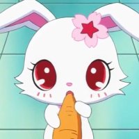 rosie ⋆˚𝜗𝜚˚⋆ (@bnnyb8) 's Twitter Profile Photo rosie ⋆˚𝜗𝜚˚⋆ (@bnnyb8) 's Twitter Profile Photo