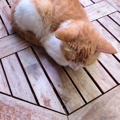 goneさんのプロフィール画像