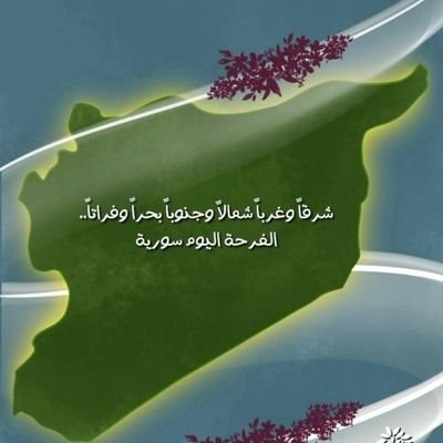 AlsmaYl61735's profile picture. 