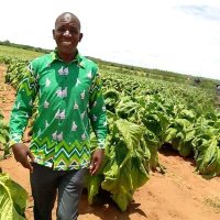 Mairosi Watungwa (@mairosiwatungwa) 's Twitter Profile
