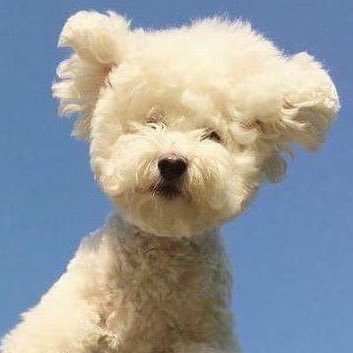 chanugf's profile picture. jung haein and gong myung