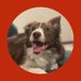 MyStonks⭕️Murphy (@qmiao5) Twitter profile photo MyStonks⭕️Murphy (@qmiao5) Twitter profile photo
