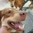 quick58221's profile image
