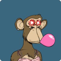 LadyApe🍌🎀 🦍 (@ladyapefundy) 's Twitter Profile Photo LadyApe🍌🎀 🦍 (@ladyapefundy) 's Twitter Profile Photo