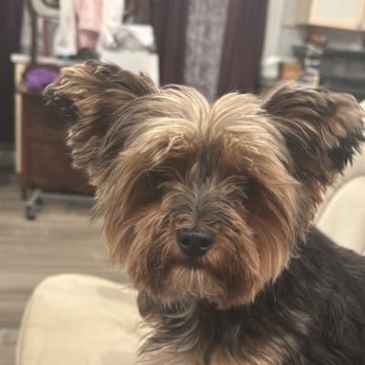 JeffreyDePillo's profile picture. First I’m a Christian that follows Christ, 2nd I’m a husband of a wife for 18+ yrs and a hard working provider for my family