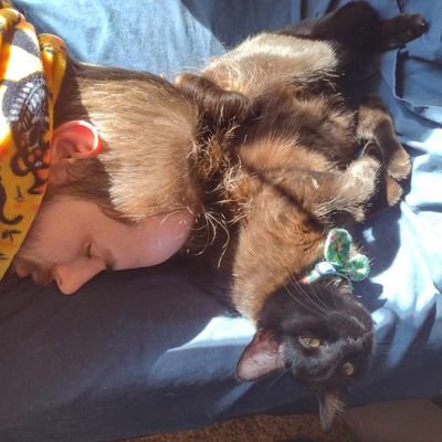 jos79160's profile picture. 