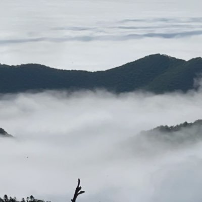 poststudy0's profile picture. 