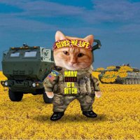 Athena Cat 🙌🇺🇦🇬🇪 (@acethecat21) 's Twitter Profile Photo Athena Cat 🙌🇺🇦🇬🇪 (@acethecat21) 's Twitter Profile Photo