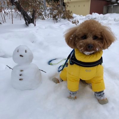 kotokoto_89's profile picture. 