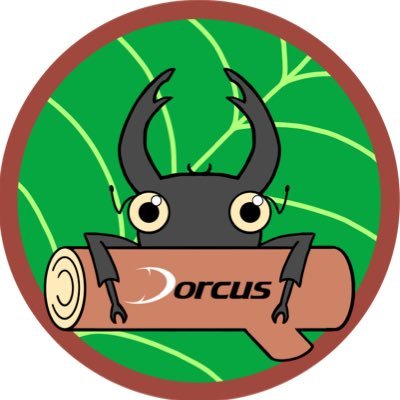 kuwagatamura's profile picture. 岐阜城が聳え立つ金華山の東部、長良川堤防沿いにある昆虫ショップです【営業時間】12時〜17時【定休日】火曜水曜・その他臨時休業あり