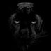 NATURE IS BRUTAL (@thebrutalnature) Twitter profile photo NATURE IS BRUTAL (@thebrutalnature) Twitter profile photo