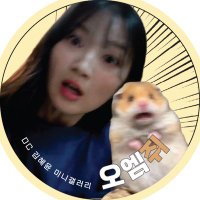 DC 김혜윤 미니갤러리 (@dc_kimhyeyoon) 's Twitter Profile Photo DC 김혜윤 미니갤러리 (@dc_kimhyeyoon) 's Twitter Profile Photo