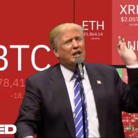 Tired Of Winning CTO (@utiredofwinning) 's Twitter Profile