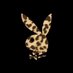 C U M z H O T (@cumzhot) Twitter profile photo C U M z H O T (@cumzhot) Twitter profile photo