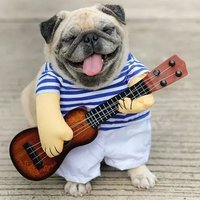 kibbell (@kibbel__) 's Twitter Profile Photo