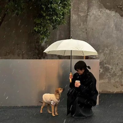koio0o0's profile picture. 