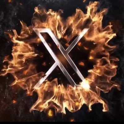 wienshenry's profile picture. hard work pays off