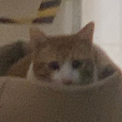 so13923930948's profile picture. 